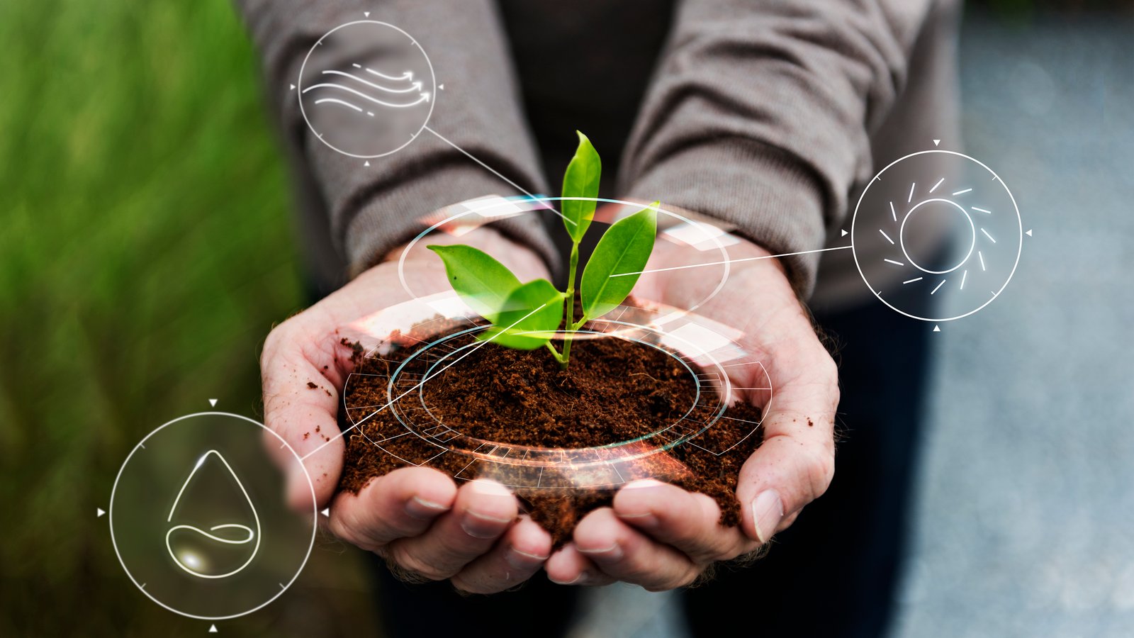 Sustainable Farming