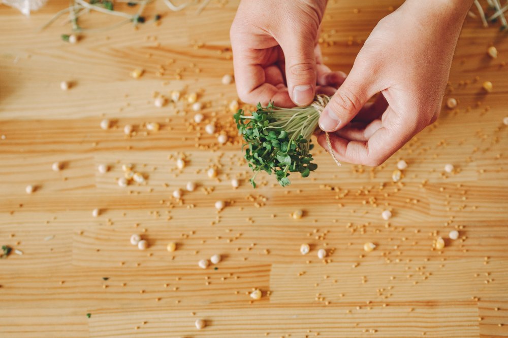 Herb Selection